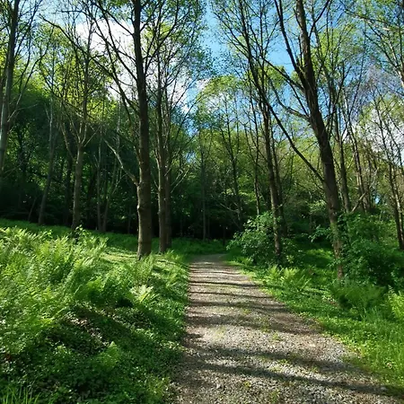 Affittacamere Ekosamotnia