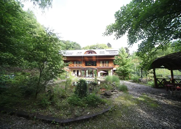 Ekosamotnia 克拉科夫