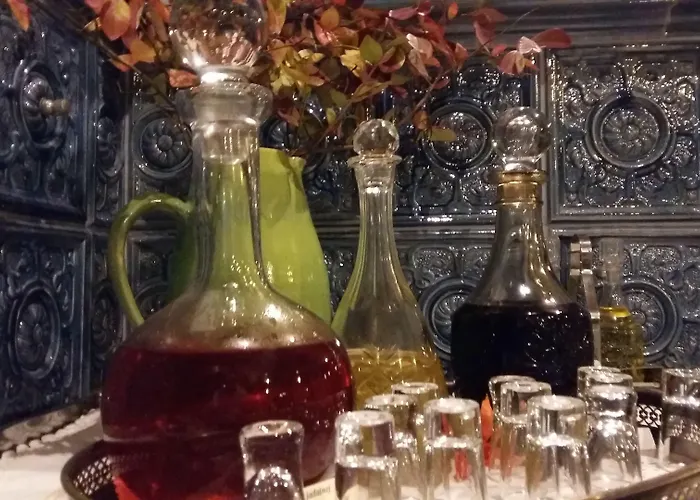 Ekosamotnia 招待所