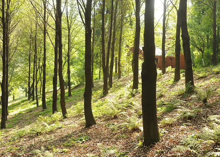 Ekosamotnia 招待所 4*