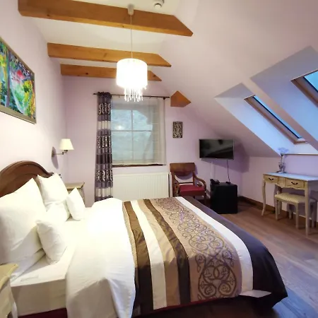 Ekosamotnia Guest house 4*