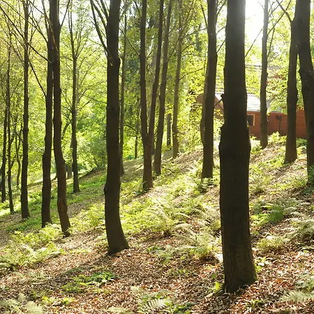 Ekosamotnia Gæstehus 4*