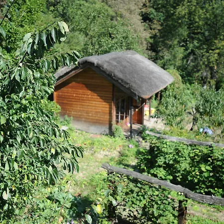 Ekosamotnia Guest house Krakow