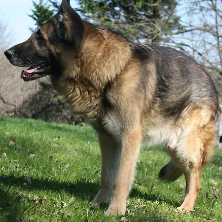 Ekosamotnia Krakov